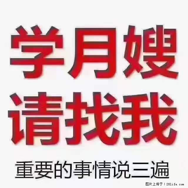 为什么要学习月嫂，育婴师？ - 其他广告 - 广告专区 - 大兴安岭分类信息 - 大兴安岭28生活网 dxal.28life.net