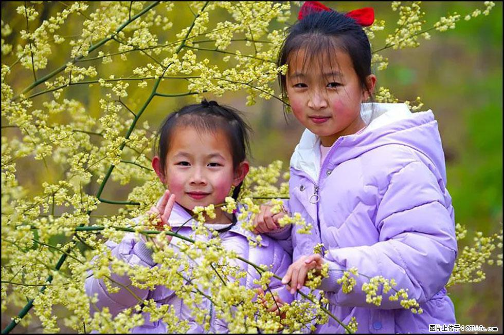 【春天，广西桂林灌阳县向您发出邀请！】米珠山前有片山苍子花在飘香 - 游山玩水 - 大兴安岭生活社区 - 大兴安岭28生活网 dxal.28life.net