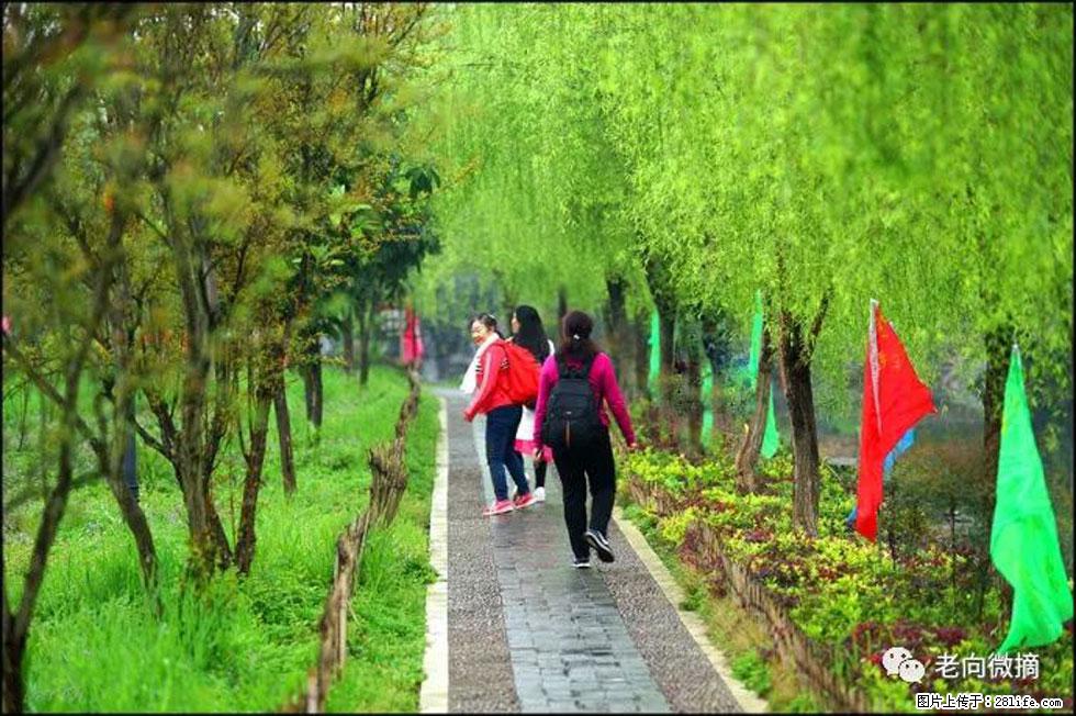 【春天，广西桂林灌阳县向您发出邀请！】江口老街又逢春 - 游山玩水 - 大兴安岭生活社区 - 大兴安岭28生活网 dxal.28life.net