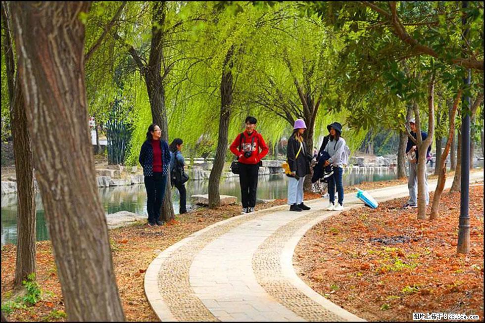 【春天，广西桂林灌阳县向您发出邀请！】江口老街又逢春 - 游山玩水 - 大兴安岭生活社区 - 大兴安岭28生活网 dxal.28life.net