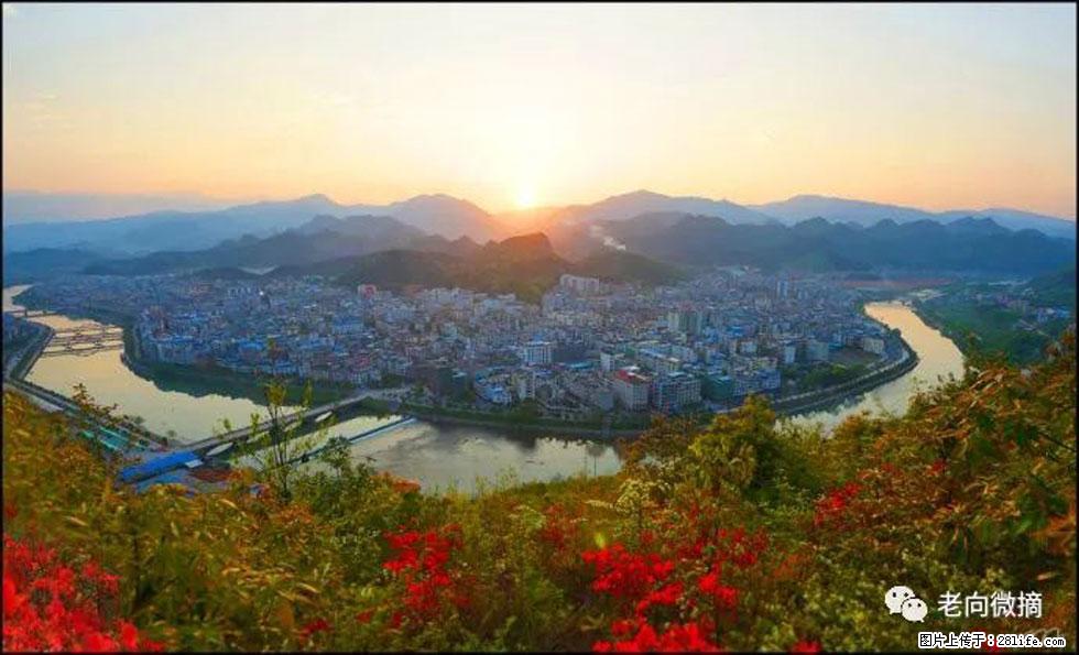 【春天，广西桂林灌阳县向您发出邀请！】登麒麟山，相约映山红 - 游山玩水 - 大兴安岭生活社区 - 大兴安岭28生活网 dxal.28life.net