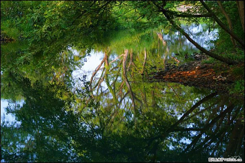 【春天，广西桂林灌阳县向您发出邀请！】熊家寨湿地公园 - 游山玩水 - 大兴安岭生活社区 - 大兴安岭28生活网 dxal.28life.net