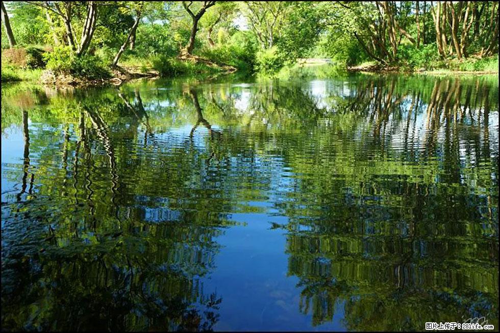 【春天，广西桂林灌阳县向您发出邀请！】熊家寨湿地公园 - 游山玩水 - 大兴安岭生活社区 - 大兴安岭28生活网 dxal.28life.net