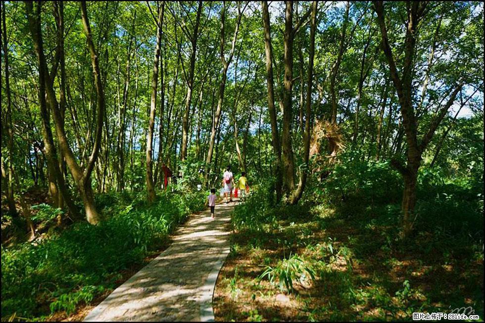 【春天，广西桂林灌阳县向您发出邀请！】熊家寨湿地公园 - 游山玩水 - 大兴安岭生活社区 - 大兴安岭28生活网 dxal.28life.net