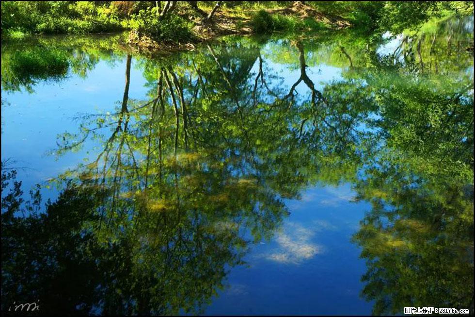 【春天，广西桂林灌阳县向您发出邀请！】熊家寨湿地公园 - 游山玩水 - 大兴安岭生活社区 - 大兴安岭28生活网 dxal.28life.net