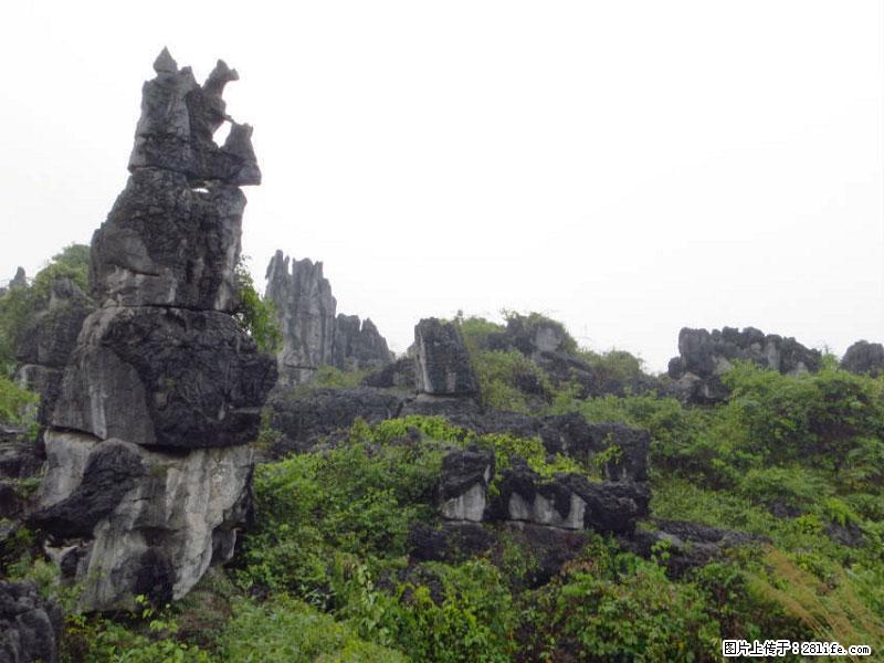 桂林旅游名城景点：灌阳文市石林 - 游山玩水 - 大兴安岭生活社区 - 大兴安岭28生活网 dxal.28life.net