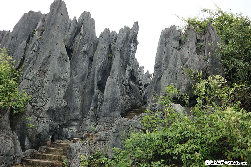 桂林旅游名城景点：灌阳文市石林 - 游山玩水 - 大兴安岭生活社区 - 大兴安岭28生活网 dxal.28life.net
