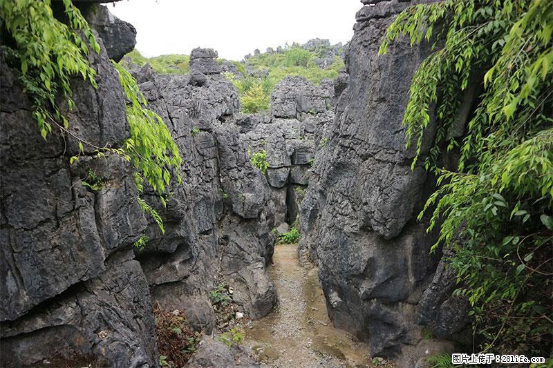 桂林旅游名城景点：灌阳文市石林 - 游山玩水 - 大兴安岭生活社区 - 大兴安岭28生活网 dxal.28life.net
