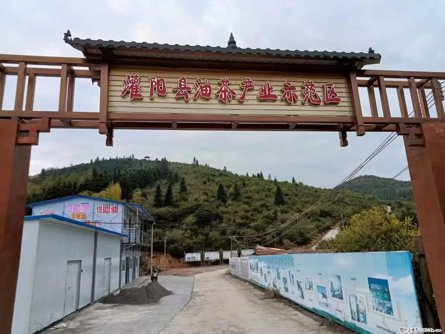 【灌阳县油茶产业示范区】一个有着充实的精神生活的人，对待身外之物自会有一种淡泊的态度 - 土特产 - 饮食特产 - 大兴安岭分类信息 - 大兴安岭28生活网 dxal.28life.net