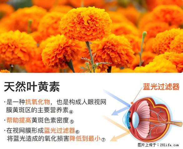 叶黄素有什么功效和作用 - 生活百科 - 大兴安岭生活社区 - 大兴安岭28生活网 dxal.28life.net