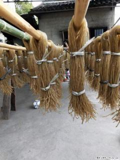 【灌阳正宗红薯粉】美女家里自己做的，干净卫生，假一赔十，价格合理，抢购电话：13737312895 - 大兴安岭28生活网 dxal.28life.net