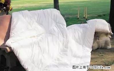 被子有异味？只要这样做，比晒太阳还强100倍！ - 家居生活 - 大兴安岭生活社区 - 大兴安岭28生活网 dxal.28life.net