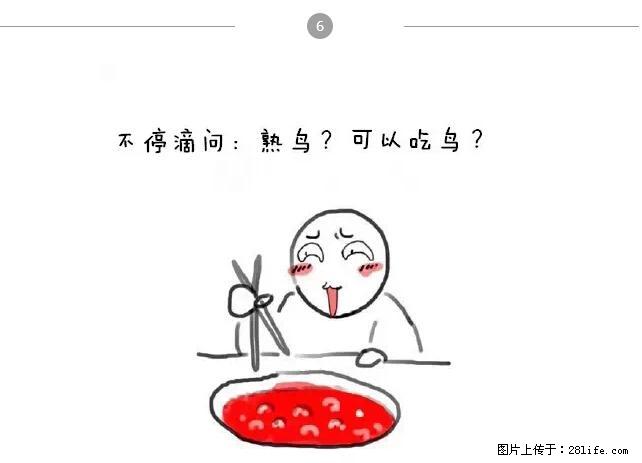 千万不要和这9种哈卵一起吃火锅！ - 美食天地 - 大兴安岭生活社区 - 大兴安岭28生活网 dxal.28life.net