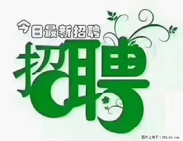 【招聘摄像师】待遇：试用期6000元/月，转正7000元/月+五险一金+餐补+节日福利+奖金 - 职场交流 - 大兴安岭生活社区 - 大兴安岭28生活网 dxal.28life.net