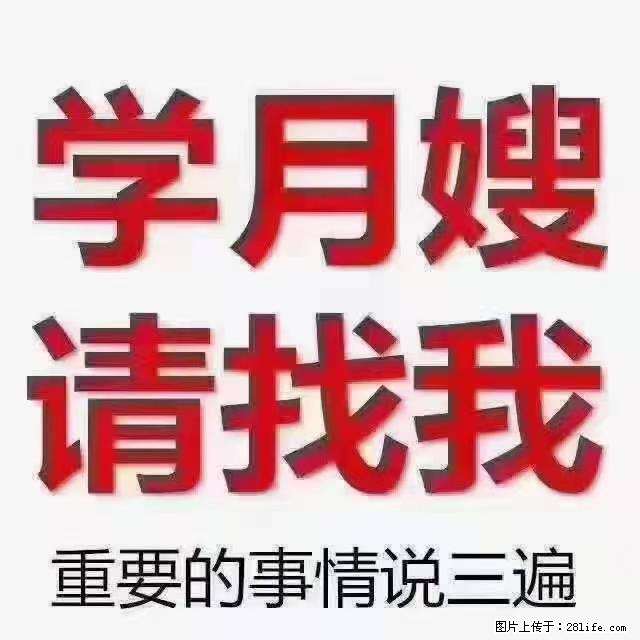 【招聘】月嫂，上海徐汇区 - 职场交流 - 大兴安岭生活社区 - 大兴安岭28生活网 dxal.28life.net