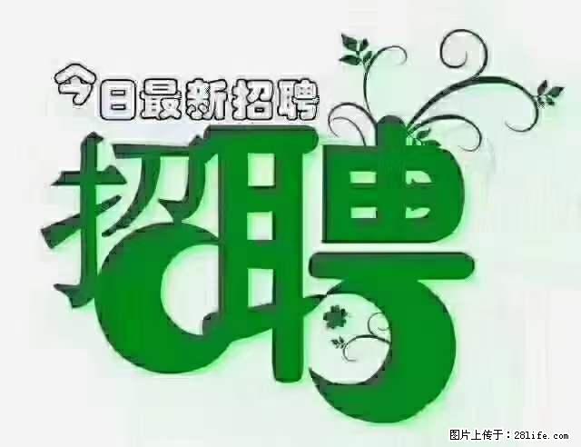 上海青浦区招仓管 - 职场交流 - 大兴安岭生活社区 - 大兴安岭28生活网 dxal.28life.net