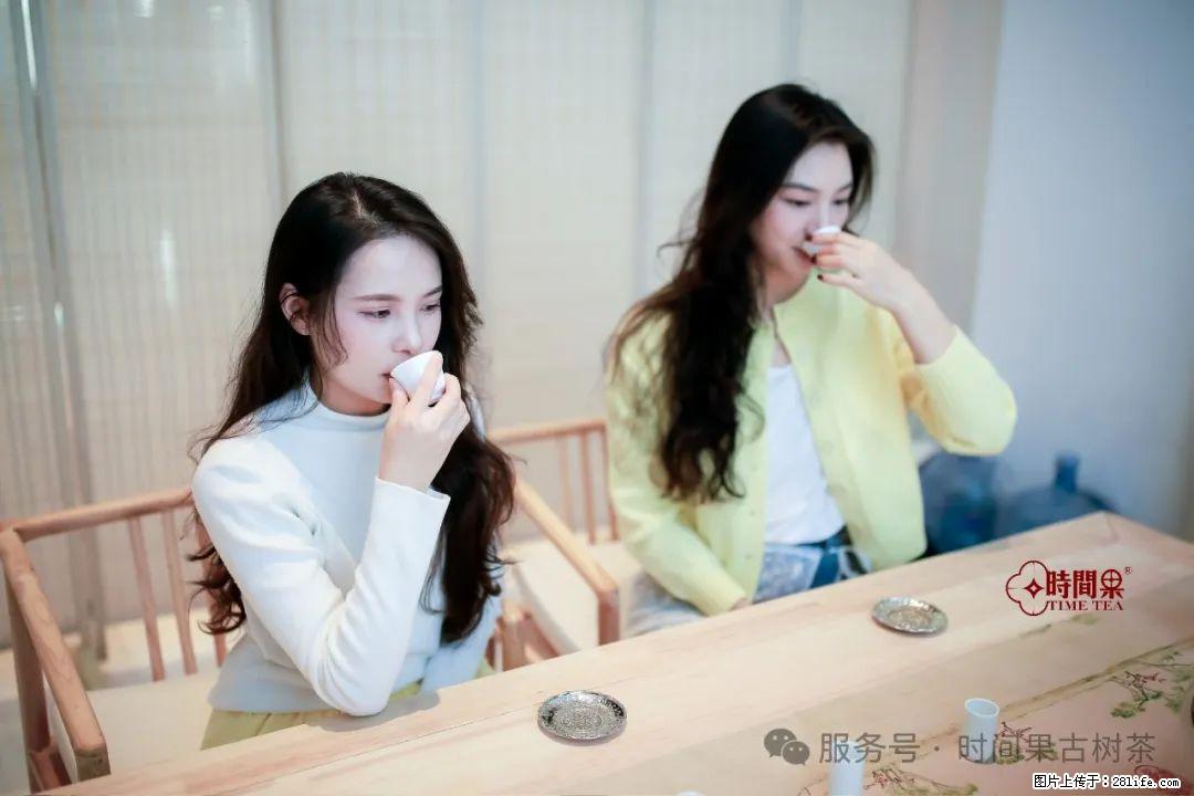 时间果百年古树龙珠普洱生茶 - 购物交流 - 大兴安岭生活社区 - 大兴安岭28生活网 dxal.28life.net