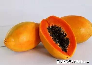 晕车、脚气、牙齿变黄、皮肤粗糙？学会这些三分钟搞定！ - 大兴安岭生活资讯 - 大兴安岭28生活网 dxal.28life.net