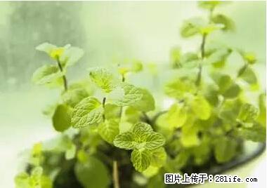 晕车、脚气、牙齿变黄、皮肤粗糙？学会这些三分钟搞定！ - 大兴安岭生活资讯 - 大兴安岭28生活网 dxal.28life.net