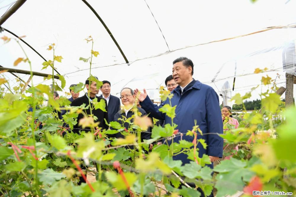 习近平赴广西考察调研 - 大兴安岭生活资讯 - 大兴安岭28生活网 dxal.28life.net