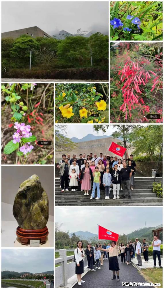 “粤灌文化 美好生活”油茶文化主题活动在广东深圳成功举办 - 大兴安岭生活资讯 - 大兴安岭28生活网 dxal.28life.net