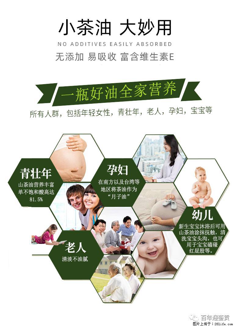 世界没有真相，只有认知，最好的食用油是中国的山茶油！ - 大兴安岭生活资讯 - 大兴安岭28生活网 dxal.28life.net