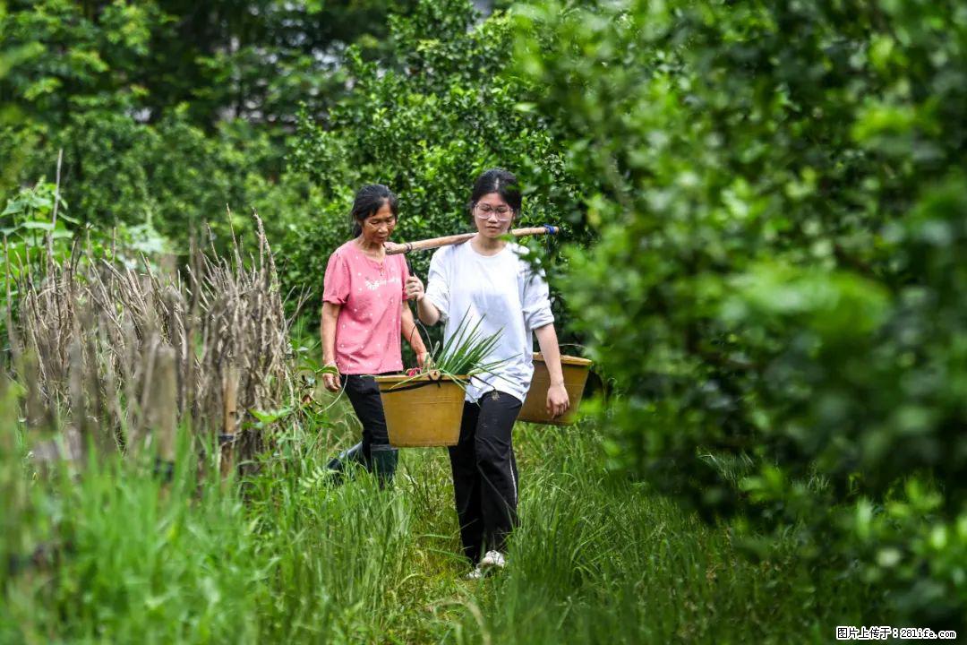全网追的“扁担女孩”，找了一份暑假工，时薪12元 - 大兴安岭生活资讯 - 大兴安岭28生活网 dxal.28life.net