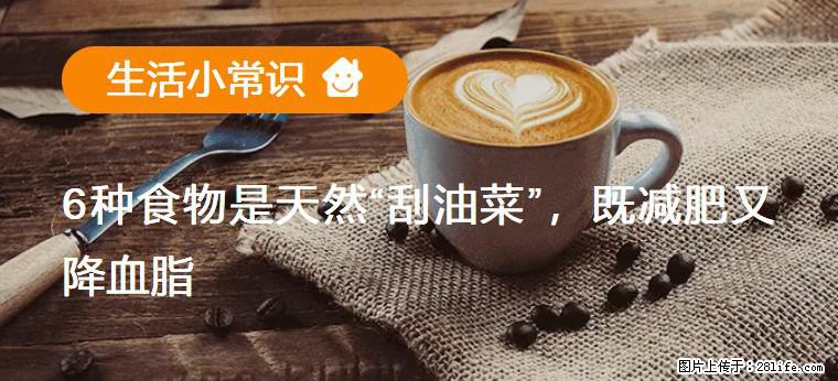 【生活小常识】6种食物是天然“刮油菜”，既减肥又降血脂 - 大兴安岭生活资讯 - 大兴安岭28生活网 dxal.28life.net