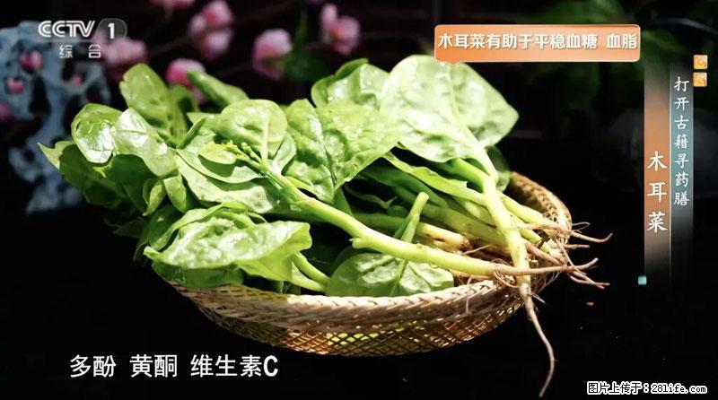 比牛奶补钙还厉害！凉血解毒、稳血糖...这菜冬天必吃，很多人却当草 - 大兴安岭生活资讯 - 大兴安岭28生活网 dxal.28life.net