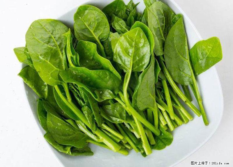 这些蔬菜是“天然钙片”，这6种被医生重点推荐 - 大兴安岭生活资讯 - 大兴安岭28生活网 dxal.28life.net
