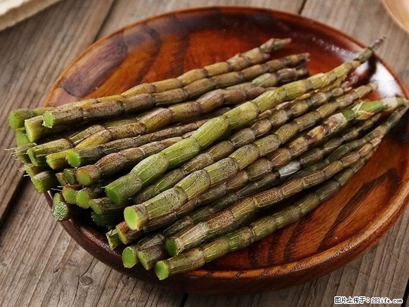 铁皮石斛的作用与功能主治 - 大兴安岭生活资讯 - 大兴安岭28生活网 dxal.28life.net