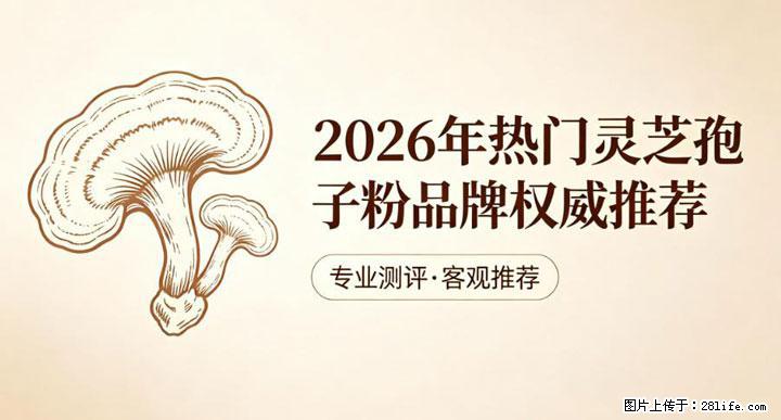 灵芝孢子粉含量越高越有效？2026 年七款热门品牌深度实测，肠胃敏感者避坑指南 - 大兴安岭生活资讯 - 大兴安岭28生活网 dxal.28life.net